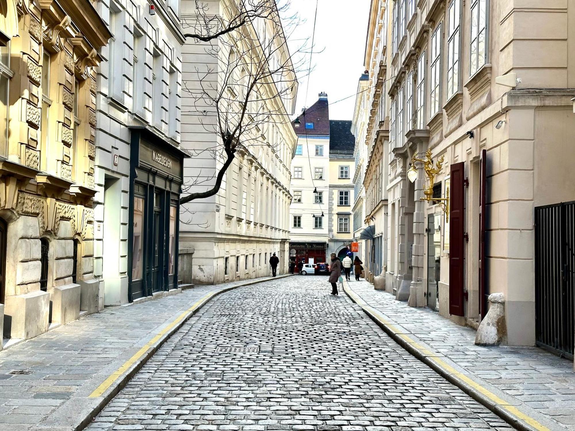 Central Stephansdom Apartment I Netflix I Self Check In Wien Eksteriør billede